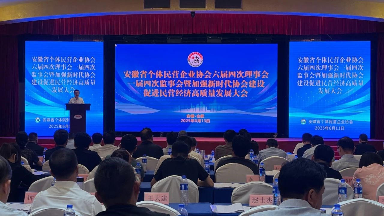 安徽省个体民营企业协会六界四次理事会召开，，，，省个协副会长单位凯时尊龙智能科技集团董事长高逢满应邀出席会议
